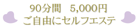 90分間5000円ご自由にセルフエステ